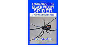 Description black widow spiders are all black to brown in colour and differ slightly in appearance based on gender. Facts About The Black Widow Spider A Picture Book For Kids Strattin Lisa 9781700350176 Amazon Com Books