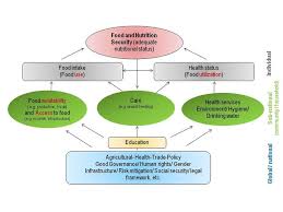 definition and dimensions of food security wocatpedia net