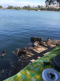 From wikimedia commons, the free media repository. Horrible No Se Como Pueden Decir Que Es Lugar Turistico Mala Atencion Agua Estancada Verde Lle Foto Di Laguna Esmeralda Melipilla Tripadvisor