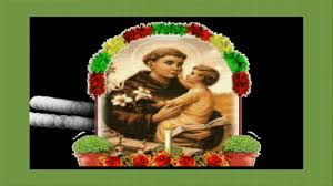 Do grego basilikón, o manjerico é uma planta ornamental e aromática, prima do manjericão, da família das mentas. Manjerico Hd Youtube