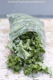 We did not find results for: Creative Vegetable Gardener The Greatest Way To Quickly Freeze Kale Creative Vegetable Gardener