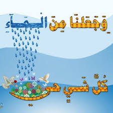كلمات عن الماء صور تعبر عن اهمية المياة اروع روعه