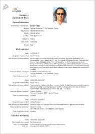 The image is available for download in high resolution quality up to 5472x3648. Cv Format For Job Docx Curriculum Vitae Cv Format For Job Cv Format