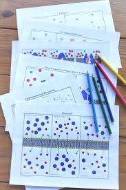 Cell Transport Coloring Pages Terrific For Explaining Diffusion Osmosis Facilitated Diffusion Active Cell Transport Cells Worksheet Life Science Activities