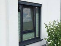 Insektenschutz Von Mester Aus Bielefeld Owl Neher Solitec Insektenschutztur In Architektur Innenarchitektur Aussenjalousien Fliegengitter Fur Schiebetur