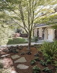 Next, you place the turf down in the area boxed out. Announcing Our New Guide To Ground Covers Gardenista