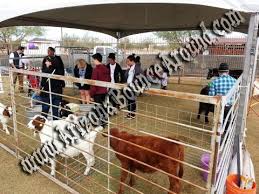 We service all of east texas within 1 hour of tyler. Petting Zoo S For Hire Petting Zoo Rentals Denver Colorado Springs Aurora Fort Collins Lakewood Co