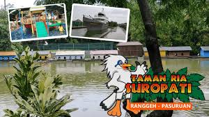 Sementara pihak pengelola pemandian taman ria untung suropati mengatakan meski adanya peningkatan pengunjung pada lebaran ke tujuh, namun masih dibawah 50 persen dari kouta yakni 20 ribu. Taman Ria Suropati 2021 Wisata Bagus Dan Lengkap Youtube
