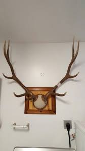 Collection of deer antler mounts & antlers on rustic wood boards diy fabric covered antler mount. Diy Pic Frame Elk Mount Venado
