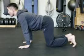 Best squat and lunge modifications. 3 Simple Modifications To Squat When In Pain Strongfirst