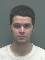 Lee County arrests 6/2/15