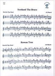 Rowan trees small ornamental trees, also known as mountain ash. they are an excellent choice for gardeners looking to bring more character into their yard. 18 Scottish Bagpipes Ideas In 2021 Scottish Bagpipes Bagpipes Bagpipe Music