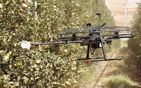 Une Start Up Developpe Des Flottes De Drone Pour Aider A Ramasser Les Fruits The Times Of Israel