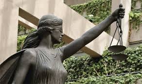 Image result for Justicia nuttii