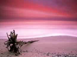 Download aesthetic tropical beach wallpaper for your desktop, mobile phone and table. Pink Beach Wallpapers Top Free Pink Beach Backgrounds Wallpaperaccess