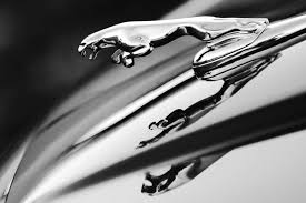 Jaguar Car Hood Ornament Black And White By Jill Reger Jaguar Car Car Hood Ornaments Hood Ornaments