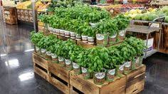 1 this is a shop where you can get fresh bread and cakes. 23 Best My Floral Favs From My Department Sprouts Farmers Market Ideas Sprouts Farmers Market Bloom Floral