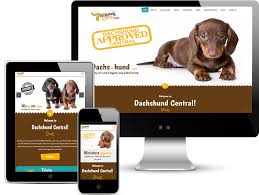 Availability can be seen here or on the puppies for sale tab! New Website For Dachshund Puppies In Dallas Texas Red Spot Design