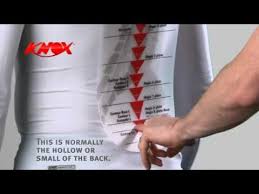 Knox How To Measure For A Back Protector Video