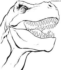 538 x 785 jpg pixel. Dinosaurus Kleurplaat Kleurplaten 541 Kleurplaat Kleuren Net