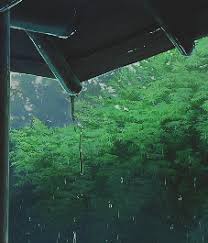 Find gifs with the latest and newest hashtags! Aesthetic Green Background Gif Largest Wallpaper Portal