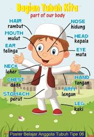 Check spelling or type a new query. Gambar Animasi Anggota Tubuh Manusia Google Penelusuran Tubuh Tubuh Manusia Kegiatan Untuk Anak