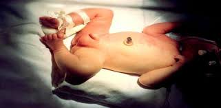 Image result for Harlequin Color Change