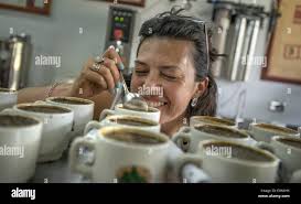 Catador cupping hi-res stock photography and images - Alamy