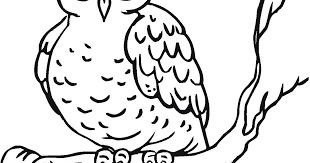 Terpopuler 38+ sketsa gambar hewan burung. 90 Gambar Hewan Animasi Burung Hantu Cikimm Com