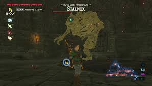 Players will have to travel deep into hyrule castle to find the hylian shield. The Legend Of Zelda Breath Of The Wild Guide How To Get The Hylian Shield The Best Shield In The Game Rpg Site