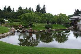 Japanese Gardens Henderson Park Lethbridge Henderson Park Japanese Garden Beautiful Gardens