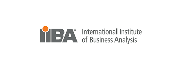 Business Analysis Process Guide In 7 Stages Bajobs Ca