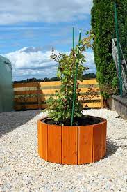 Hochbeet aus paletten und mörtelkübel hochbeet aus paletten und mörtelkübel #hochbeet #mortelkubel #paletten the post hochbeet aus paletten und mörtelkübel appeared first hochbeet bauen | selbst.de. Hier Eine Anleitung Wie Man Ein Rundes Hochbeet Ganz Einfach Selbst Bauen Kann Hierbei Wird Ein Runder Mortelkubel Mit Garten Hochbeet Hochbeet Pflanzenkubel