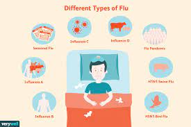 Hemagglutinin (h) and neuraminidase (n). Understanding The Different Kinds Of Flu Viruses