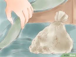 Zumindest medikamente wie frontline wirken nicht durch abwehrenden duft, sondern geben einen wirkstoff an das blut der katze ab. Zu Hause Flohe Toten Wikihow