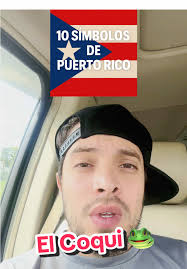 Cosas Que Representan A Puerto Rico
