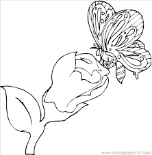 We did not find results for: Butterfly Coloring Picture 3 Coloring Page For Kids Free Butterfly Printable Coloring Pages Online For Kids Coloringpages101 Com Coloring Pages For Kids