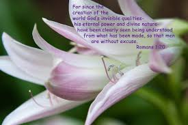 Image result for images Romans 1:20