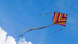 Kite Fest