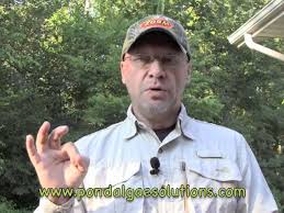 Pond muck is considered to be the accumulation of all kinds of wasteful substances such as fish waste, decaying plants as well as other organic materials which end up accumulating at the very bottom of. Pond Muck Reduction And Restoration Youtube