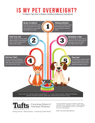 Pin On Pets Weight Management