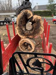 Multi location business find locations. Hutchinson Tree Care Specialists Inc Tree Care Gallery Westport Ct