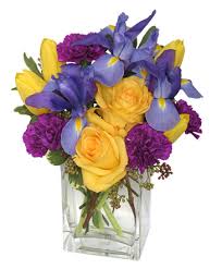 Orange Beach Gulf Shores Al Perdido Key Fl Florist Flower Shop