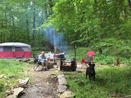 Maybe you would like to learn more about one of these? Rustic Campground Bald Eagle Park Pa 1 Hipcamper Review And 6 Photos