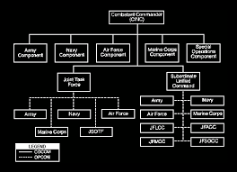 Chain Of Command Essay