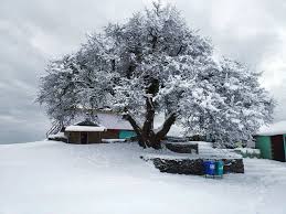 It consists of frozen crystalline water throughout its life cycle, starting when, under suitable conditions. Himachal Pradesh Uttrakhand Under Snow Cover Again Snowfall In March The Economic Times