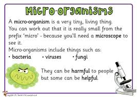 Teacher S Pet Micro Organism Posters Free Classroom Display Resource Eyfs Middle School Science Activities Bored Teachers Ks2 Science