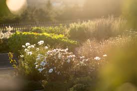Aux Abords Directs Du Restaurant Le Potager Fait Office De Sentinelle Pour Voir Au Fil Des Saisons Ce Que Produit Le Potager Bio Potager Hotel Spa Bretagne