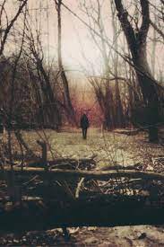 The Black Hat Society Another Lonely Dark Photo That I Cant Help But Love Landscape In The Forest Photo