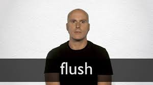 The app makes connecting face to face effortless, alerting you when your friends are in the game and ready to chat and play with you, so you can jump. Flush Definition And Meaning Collins English Dictionary